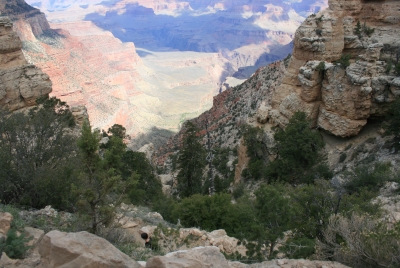 Grand Canyon 2008